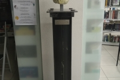 L'inconnu de Puissalicon