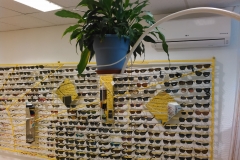 Supports lunettes 2