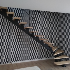 Escalier limon central
