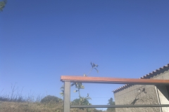 Garde-corps acier (3)