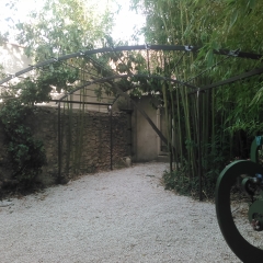 Pergola (22)