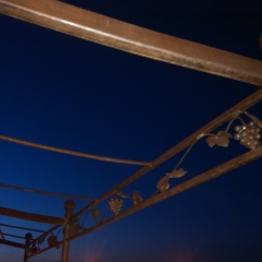 Pergola (9)